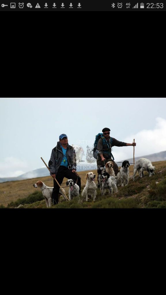 de Buzuntza - Concours montagne d'Alto Campoo (Cantabria):