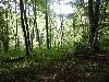  - Forêt de Brotonne 2018 2ème jour
