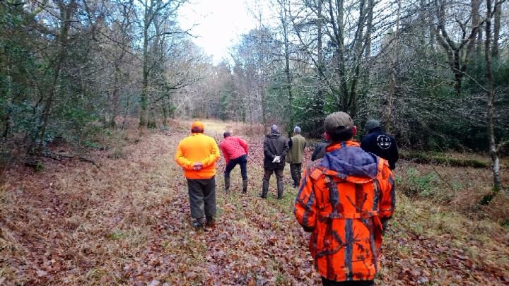 de Buzuntza - Concours en forêt du Gavre: