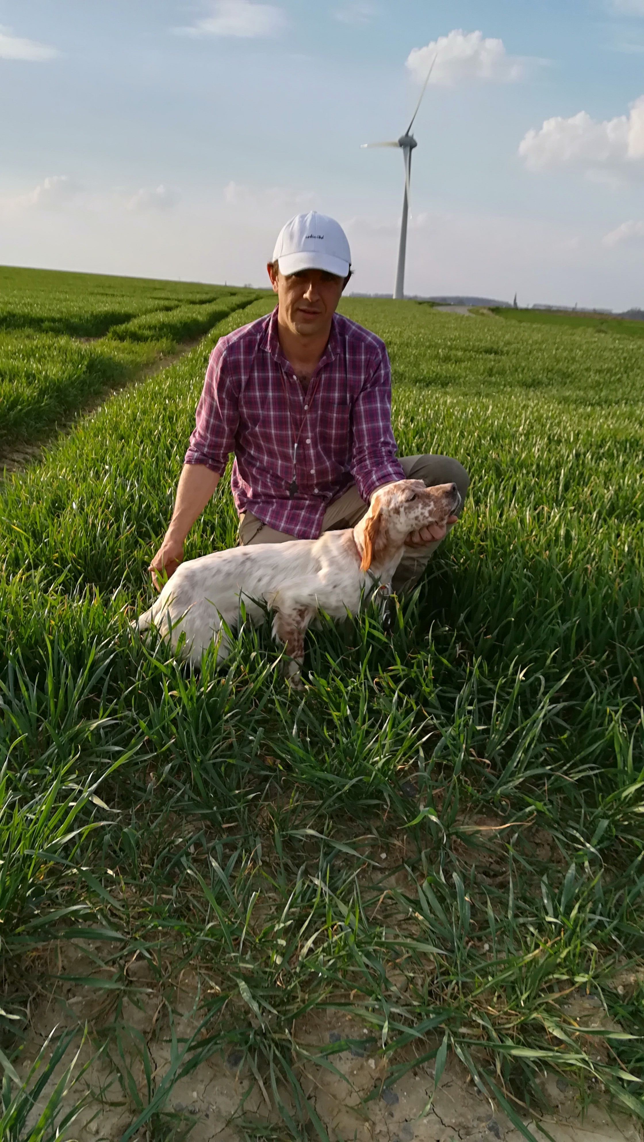 Markes de Buzuntza