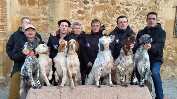 de Buzuntza - Championnats d'Europe bécasses à Soria