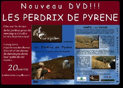 de Buzuntza - Superbe DVD sur la perdrix grise de nos pyrénées