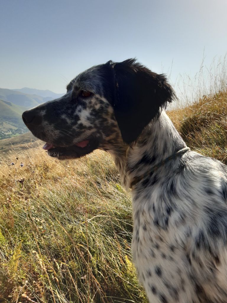 de Buzuntza - Pakea et Soum dans les Pyrénées