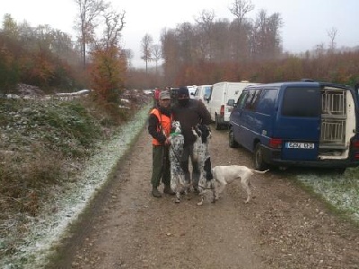 de Buzuntza - 1er jour en forêt d'Eawy: