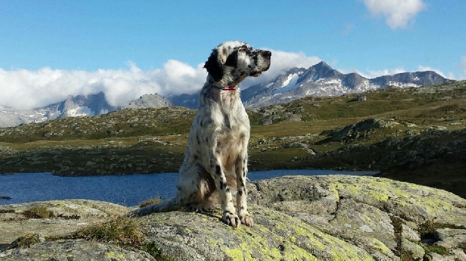de Buzuntza - 1er jour au Grimsel