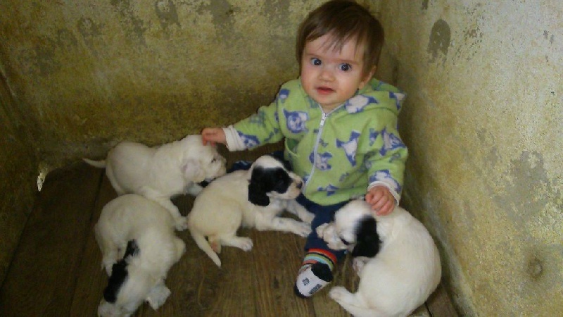 en famille